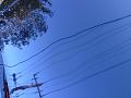 Click image for larger version. 

Name:	IMG_1503.JPG 
Views:	293 
Size:	171.5 KB 
ID:	24080