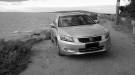 B_W_Accord.jpg