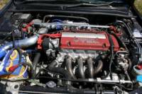 IMG_2484compressed.JPG